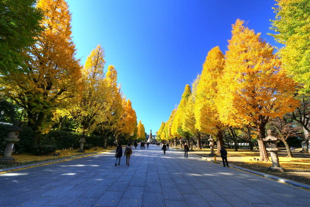 8 Yasukuni Shrine