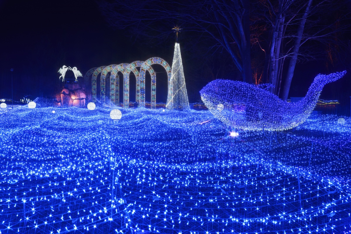 9. งานประดับไฟเกียวโต อิลลูมิแยร์, เกียวโต  (Kyoto Illumiere, Kyoto)