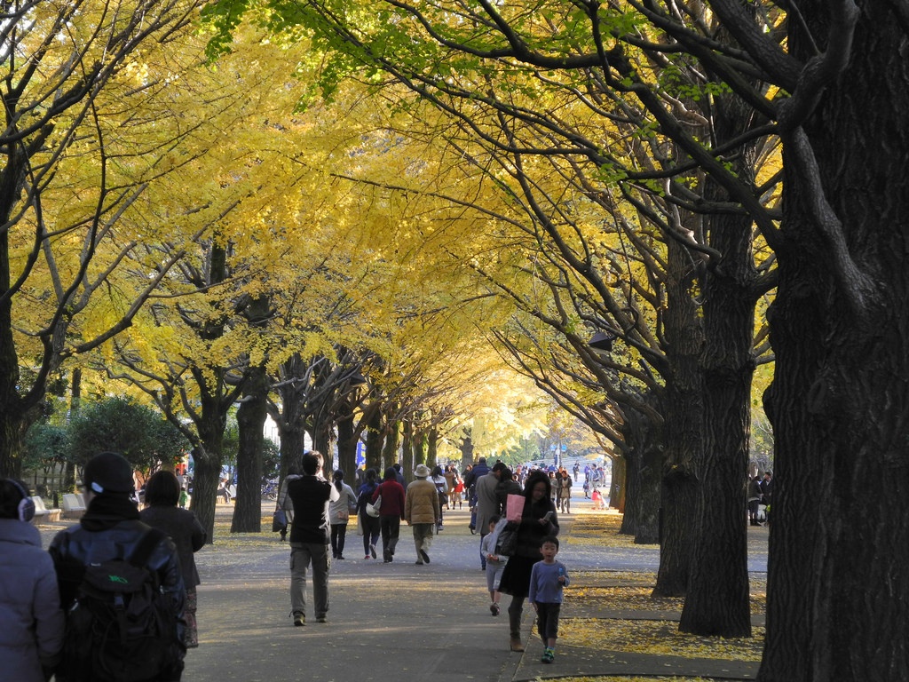 5 Hikarigaoka Park