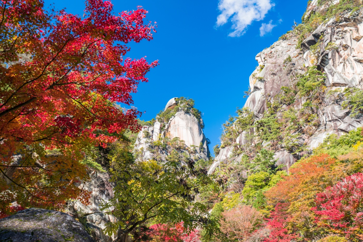 10. หุบเขาโชเซ็นเคียว จังหวัดยามานาชิ  (Shosenkyo Gorge, Yamanashi)