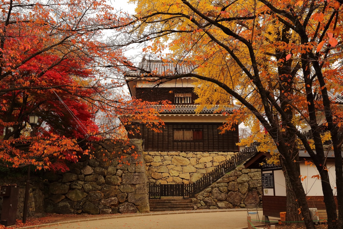 8. สวนสาธารณะซากปราสาทอุเอดะ จังหวัดนากาโนะ  (Ueda Castle Ruin Park, Nagano)