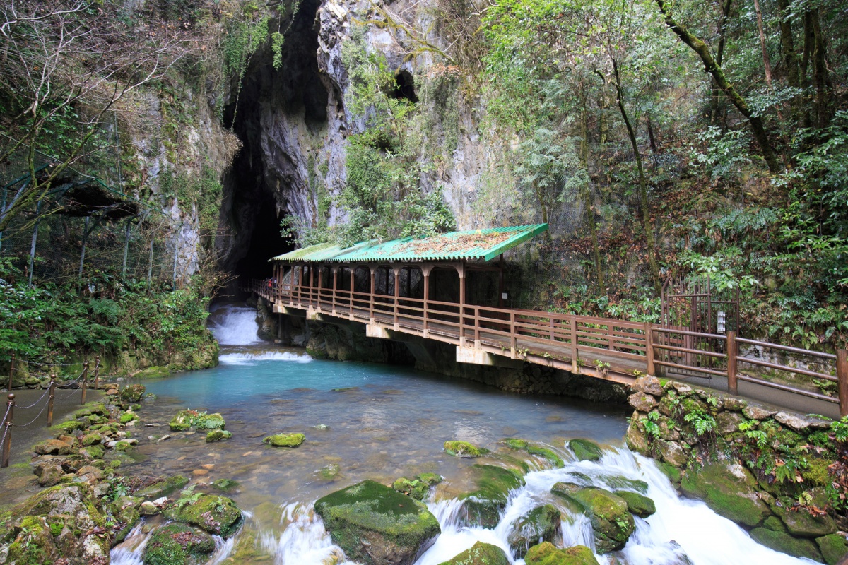 5. Visit Akiyoshidai Quasi-National Park