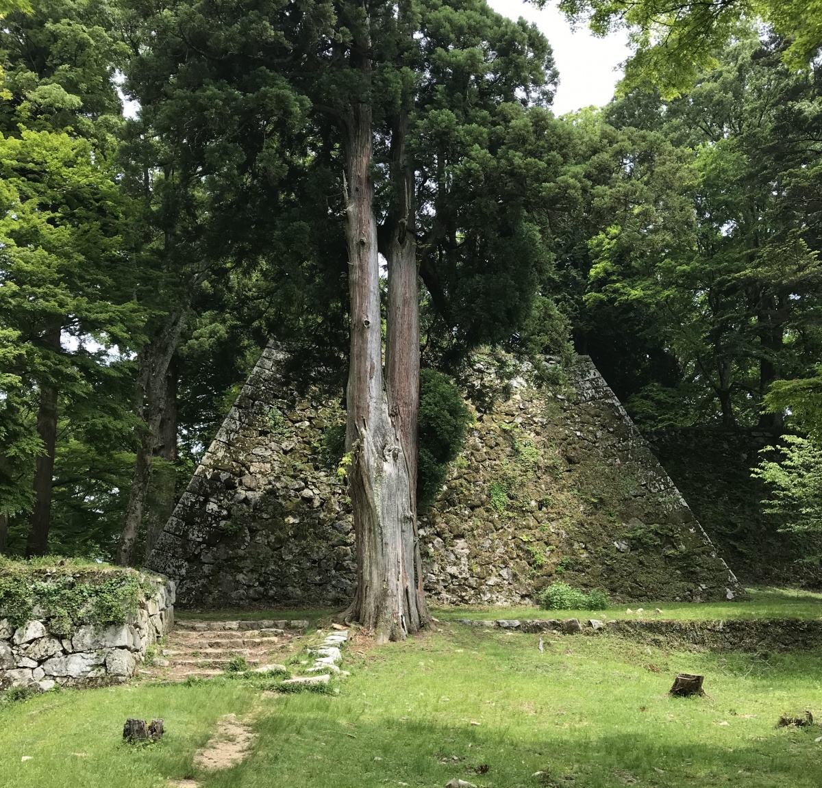 Mount Takatori – Nara