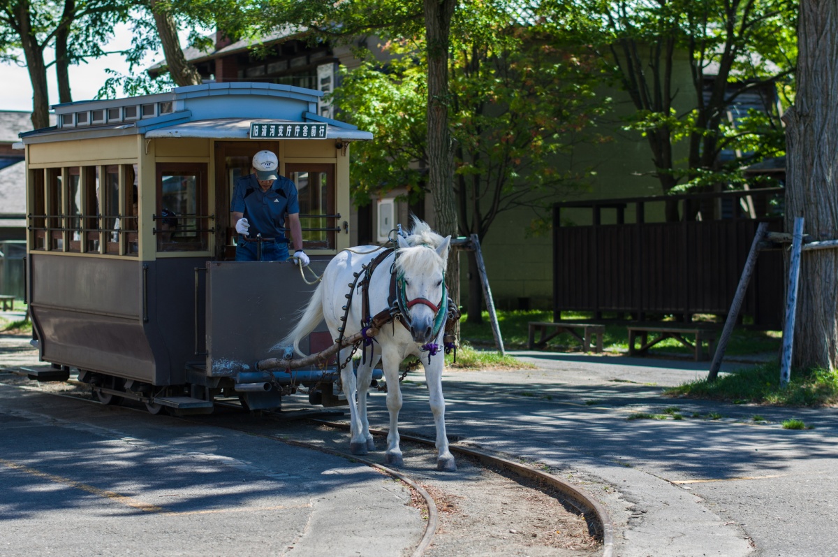 1. พิพิธภัณฑ์หมู่บ้านประวัติศาสตร์แห่งฮอกไกโด (Historic Village of Hokkaido)