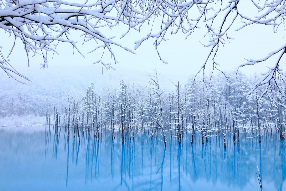 1 Blue Pond (Hokkaido)