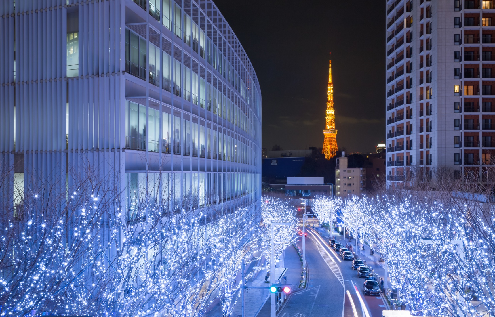 Tokyo's Top 5 Winter Illumination Events 2019!