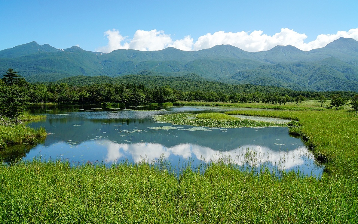 5. อุทยานแห่งชาติชิเรโทโกะ จังหวัดฮอกไกโด (Shiretoko National Park, Hokkaido)