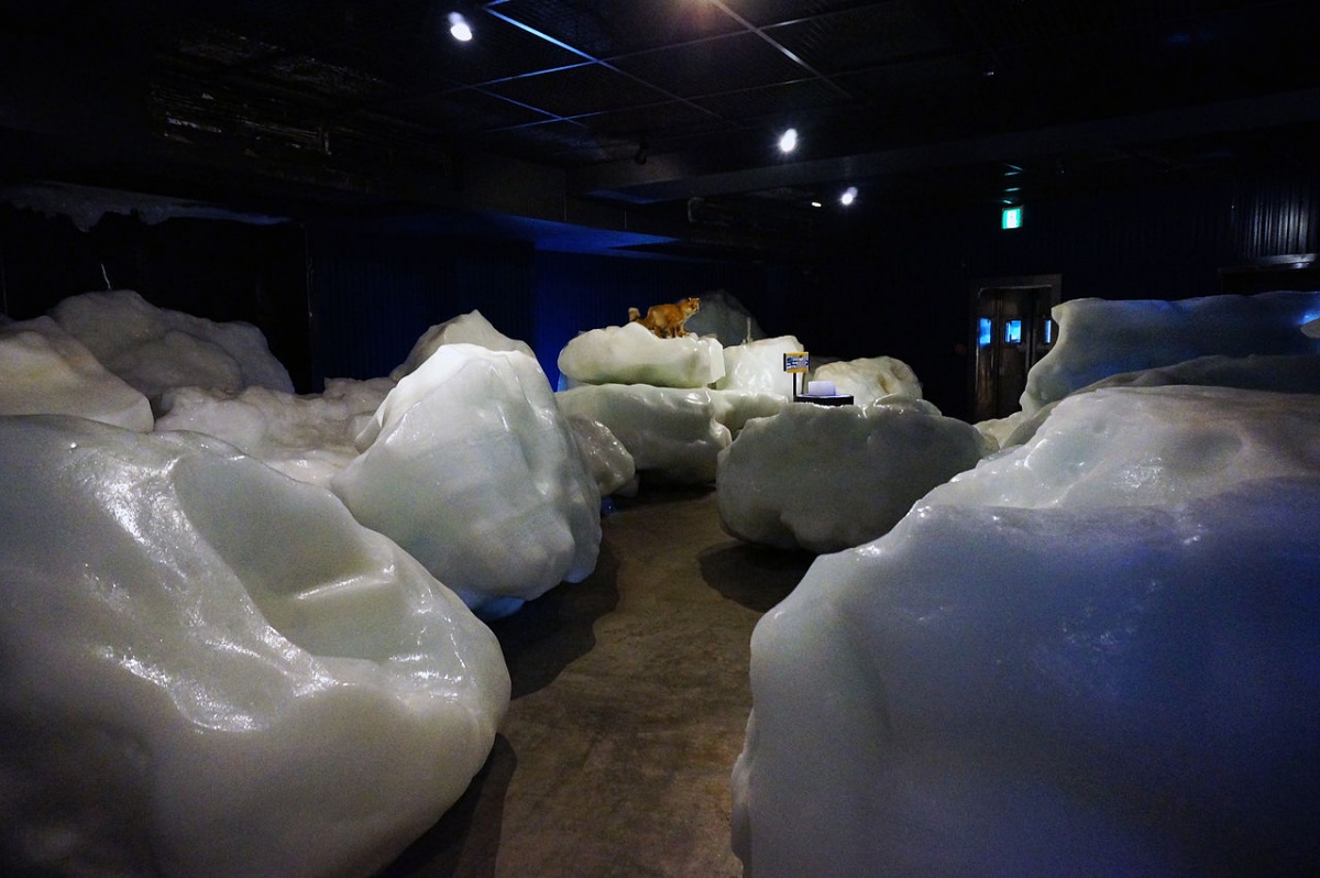 พิพิธภัณฑ์น้ำแข็งขั้วโลก (Okhotsk Ryuhyo Museum)