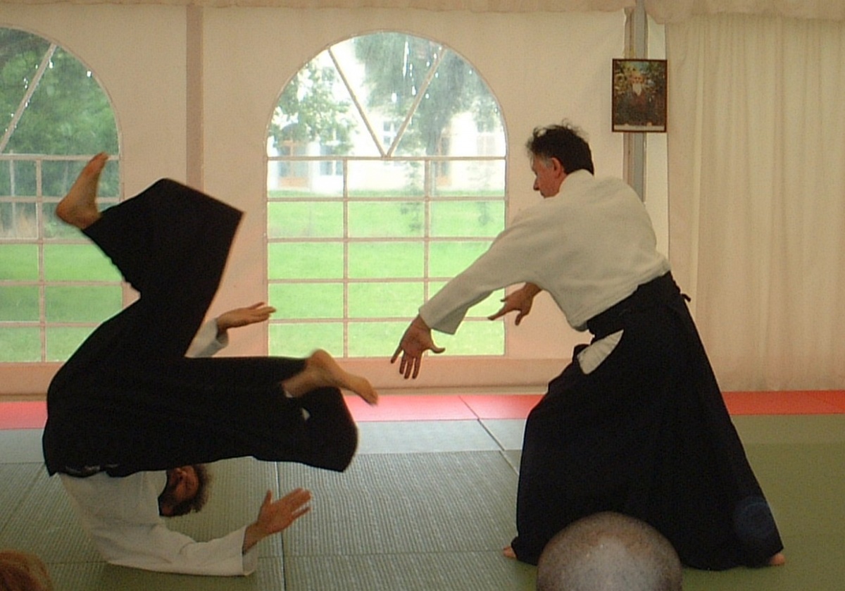 ไอคิโด (Aikido)