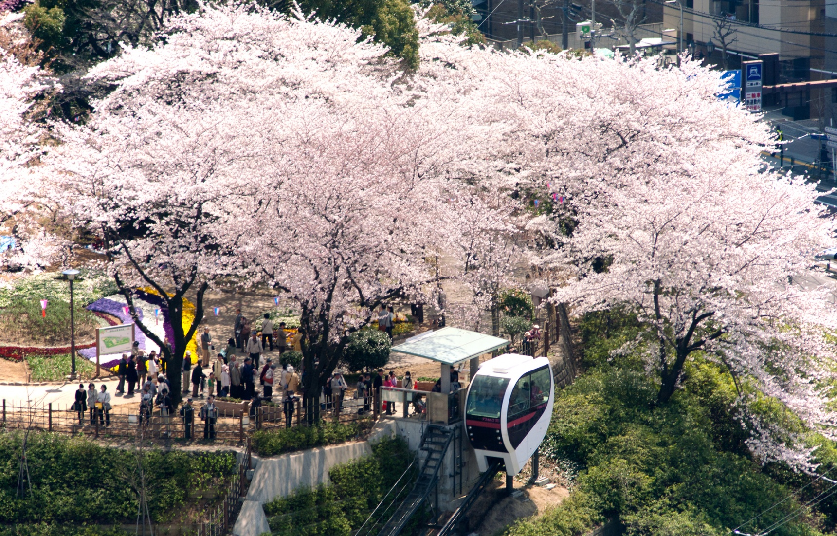 แนะนำ 7 สถานที่ท่องเที่ยวเข้าฟรีในโตเกียว