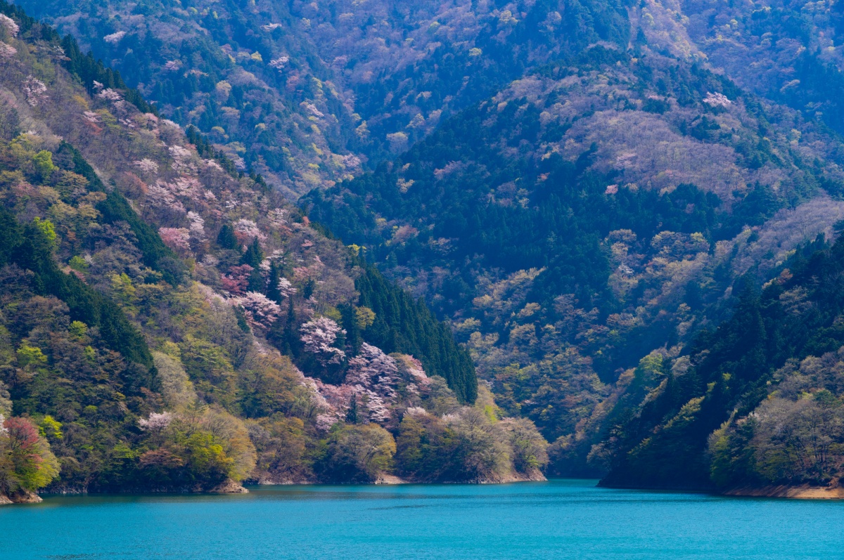 1 เขื่อนโอโงอุจิ (Ogouchi Dam)