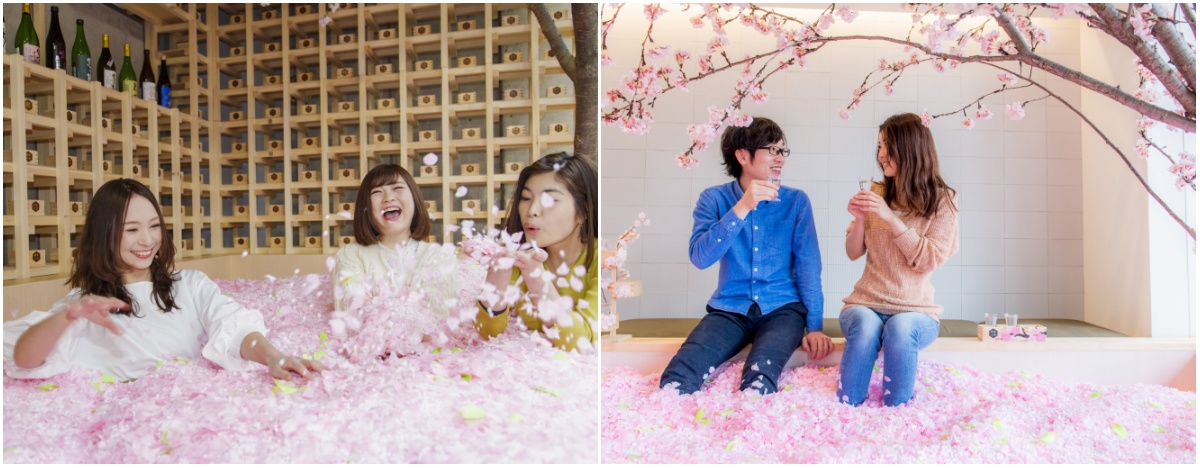Experience a New Hanami in Awesome Sakura Pool