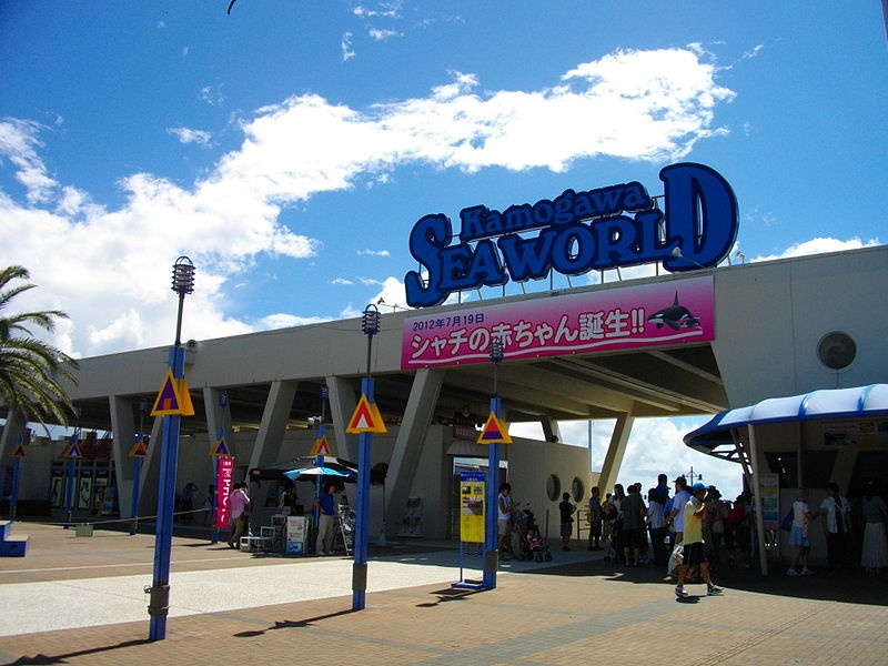 5 พิพิธภัณฑ์สัตว์น้ำคาโมงาวะซีเวิลด์ (Kamogawa Seaworld)