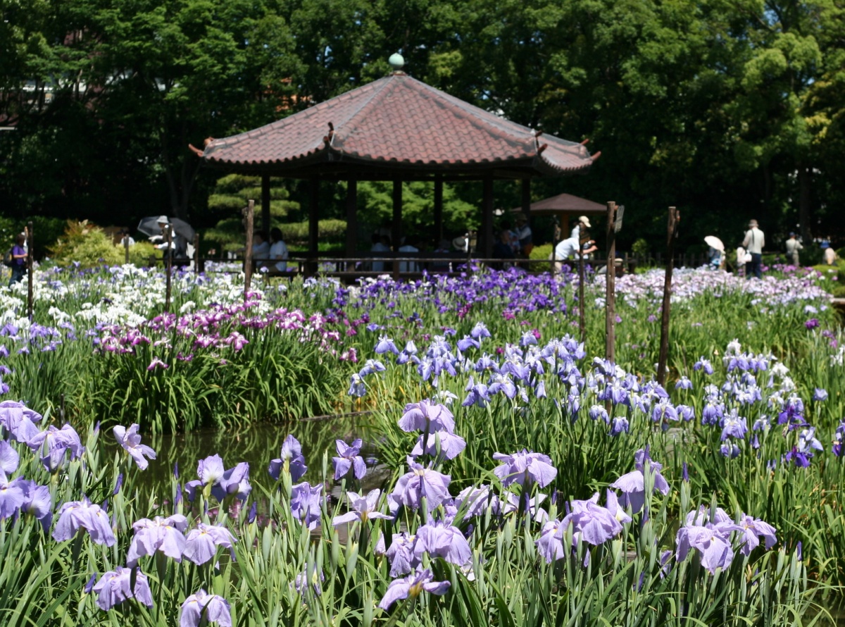 4. สวนสาธารณะชิโรคิตะ (Shirokita Park)