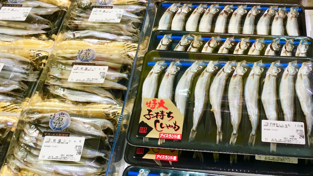 10. ปลาชิชาโมะ (ปลาไข่ญี่ปุ่น)
