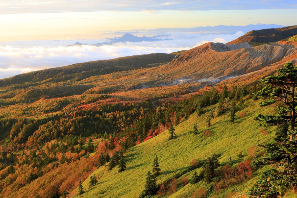 1. นาคาโนะโจ จังหวัดกุนมะ (Nakanojo, Gunma)