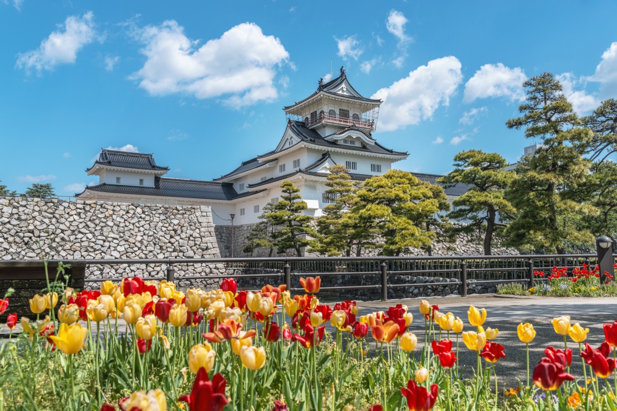 3. ปราสาทโทยามะ (Toyama Castle)