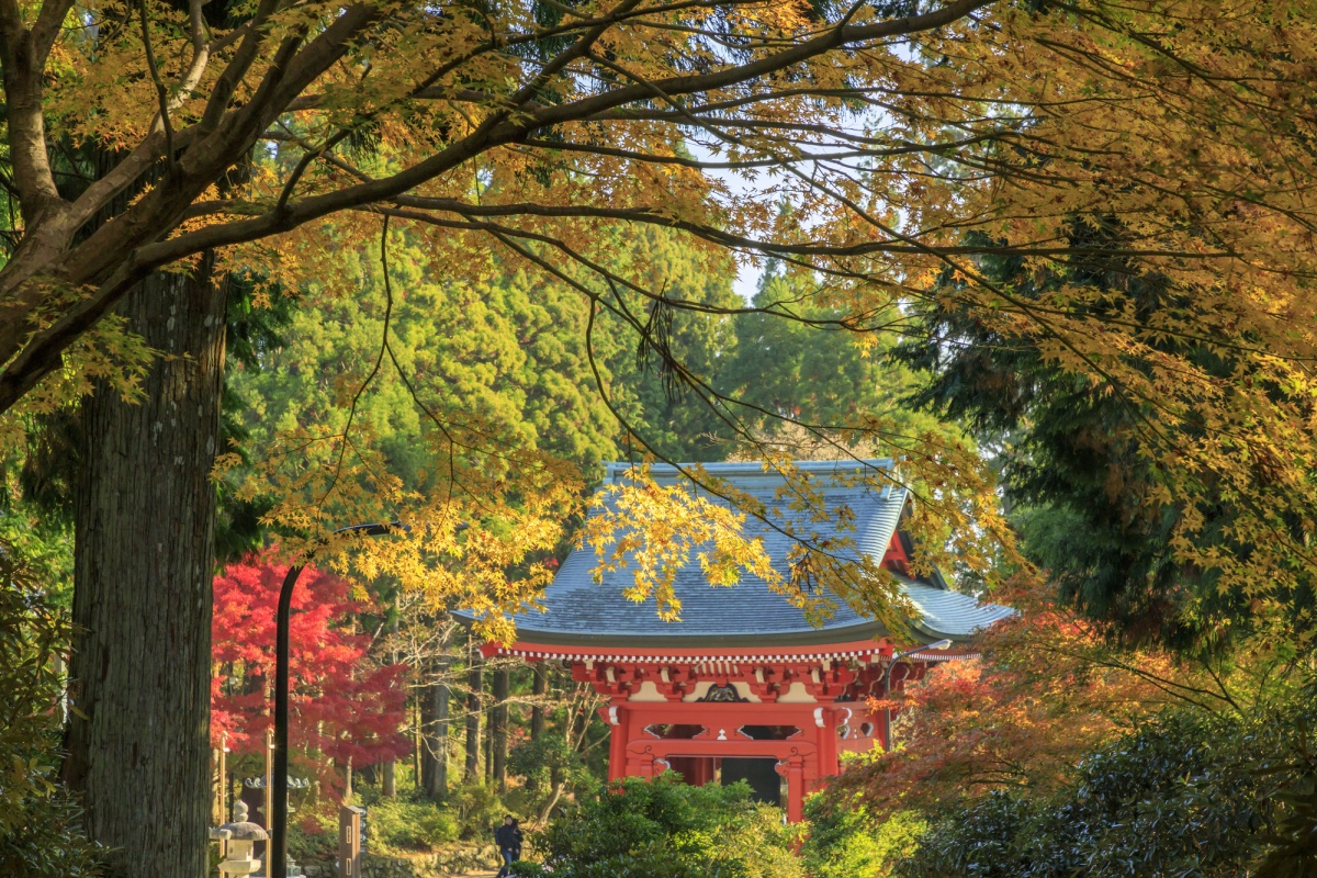 3. วัดเอ็นเรียคุจิ (Enryakuji Temple)