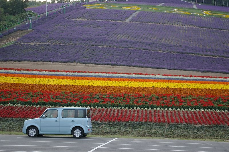 6 ทุ่งลาเวนเดอร์ประจำเมืองนากาฟุราโนะ (Nakafurano Town)