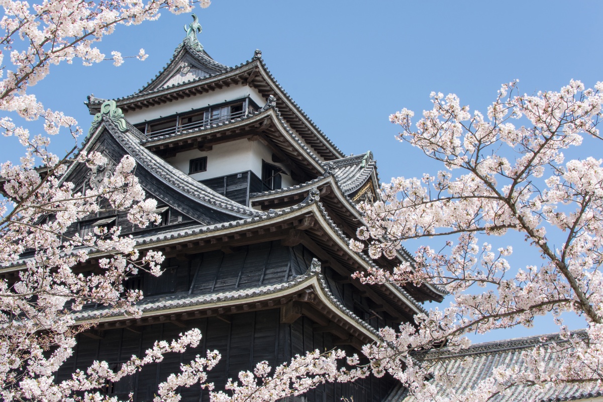 6. ปราสาทมัตสึเอะ (Matsue Castle)