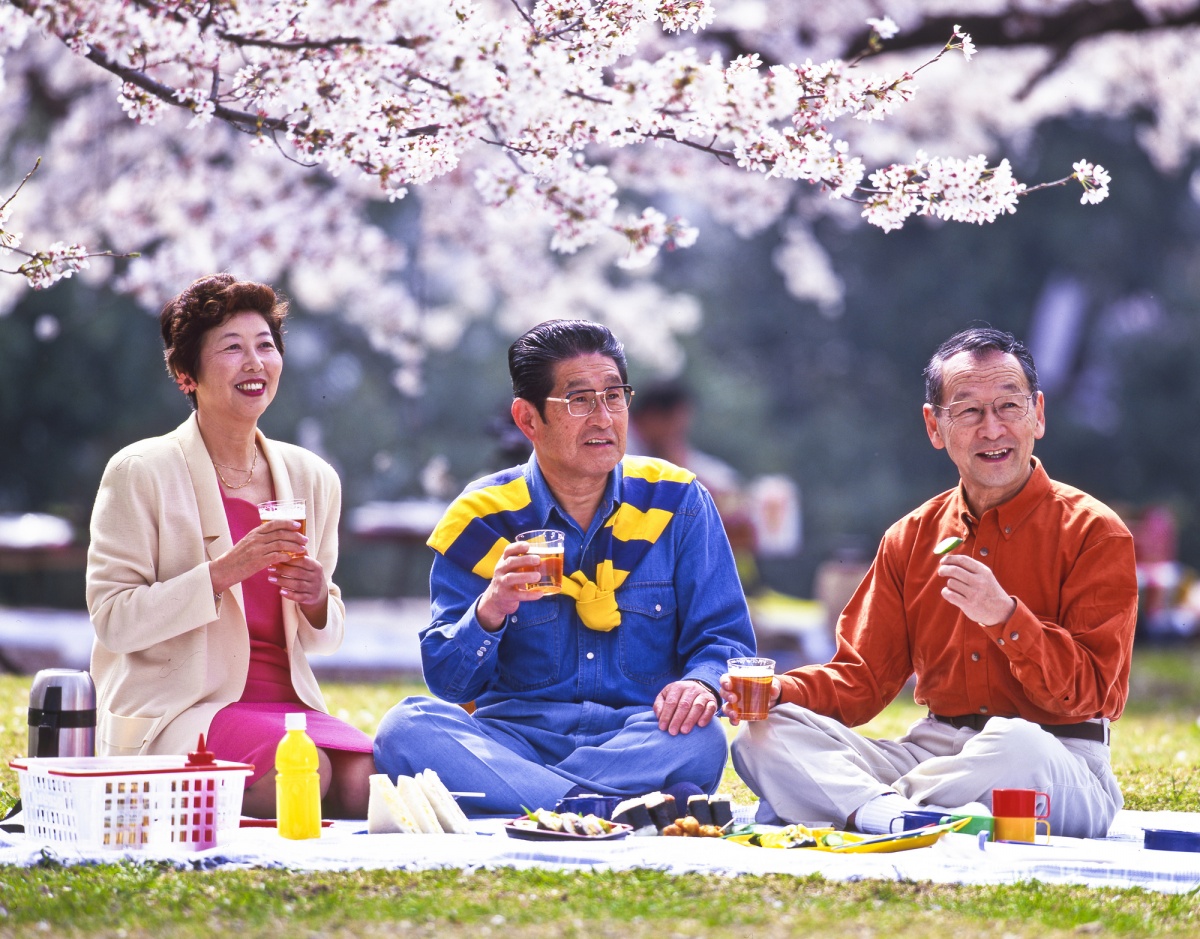 ฮานามิ (Hanami) 花見 (はなみ)