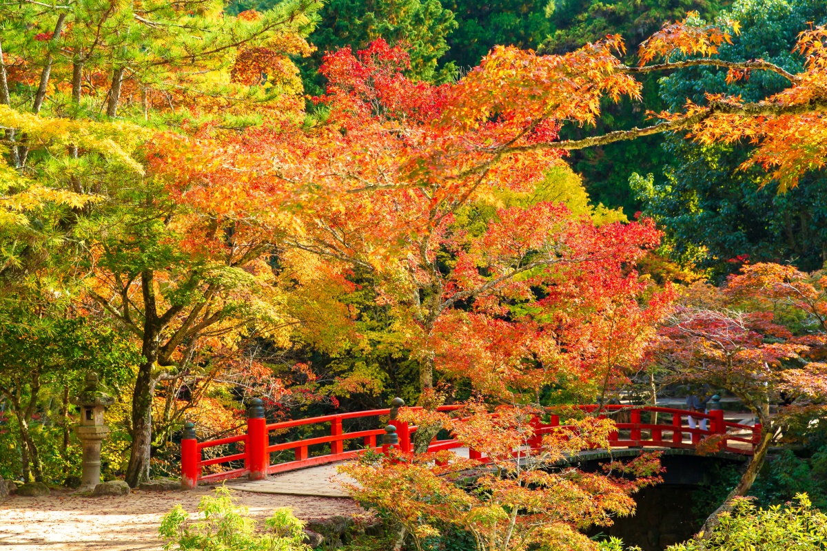 สวนสาธารณะโมะมิจิดานิ (Momijidani Park, Miyajima Park)