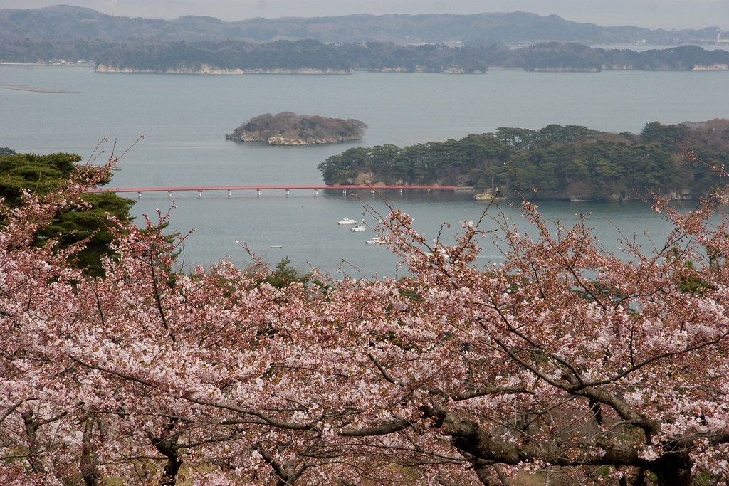14. เมืองมัตสึชิมะ (Matsushima)