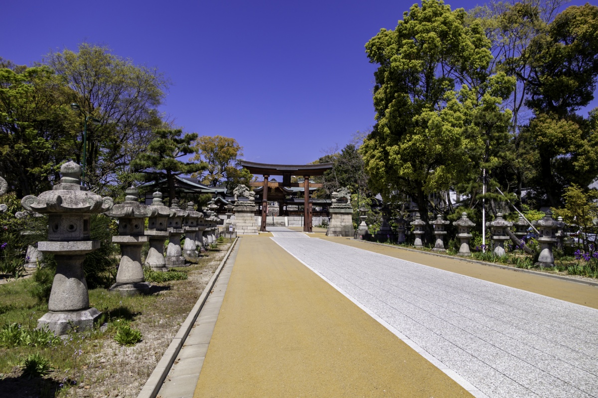 Hike up to the Peace Pagoda