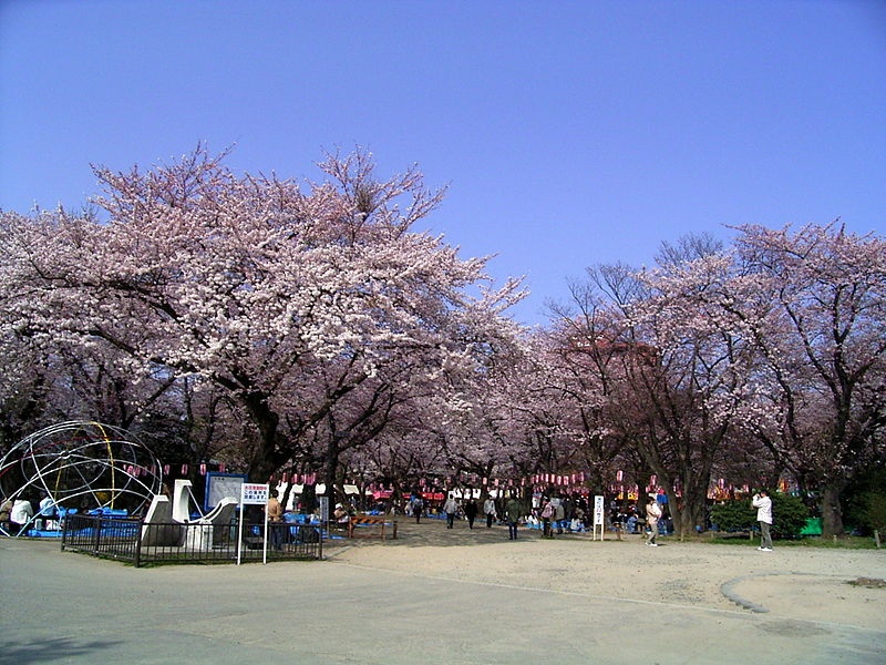 สวนนิชิ (Nishi Park)