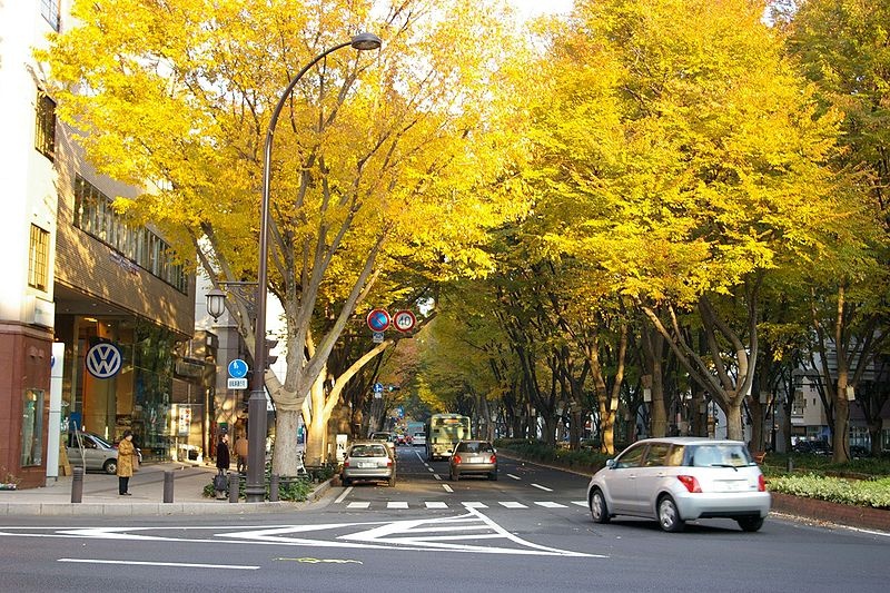 ถนนโจเซ็นจิ (Jozenji Avenue)