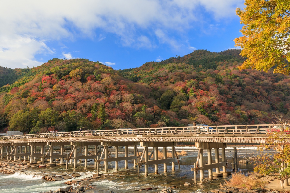 3. อาราชิยามา จังหวัดเกียวโต (Arashiyama, Kyoto)