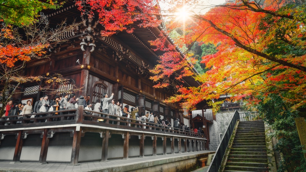 京都賞楓勝地永觀堂的「回首阿彌陀像」