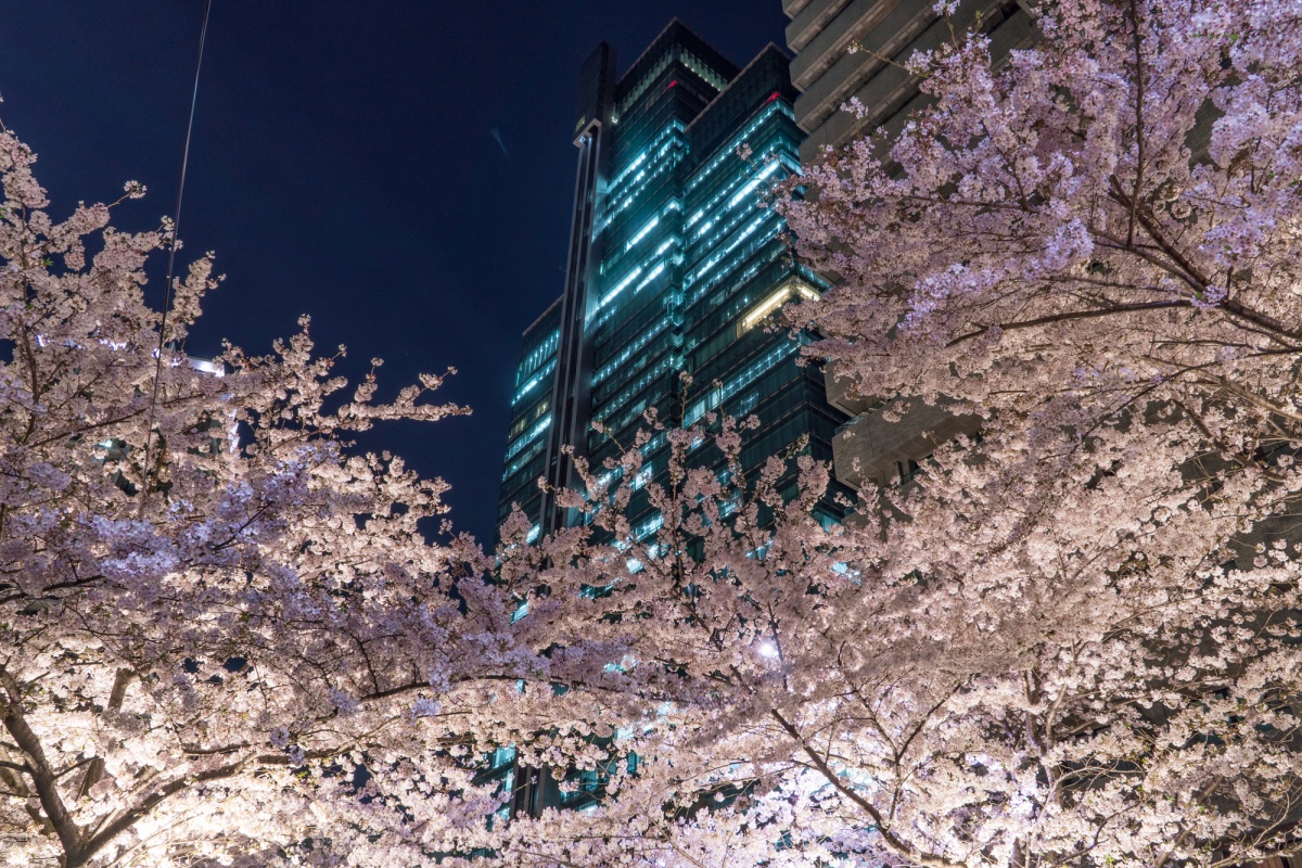 H04 สถานีรปปงงิ (Roppongi Station)