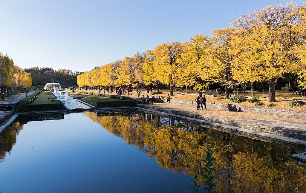 Top 10 Autumn Leaves Spots in Tokyo