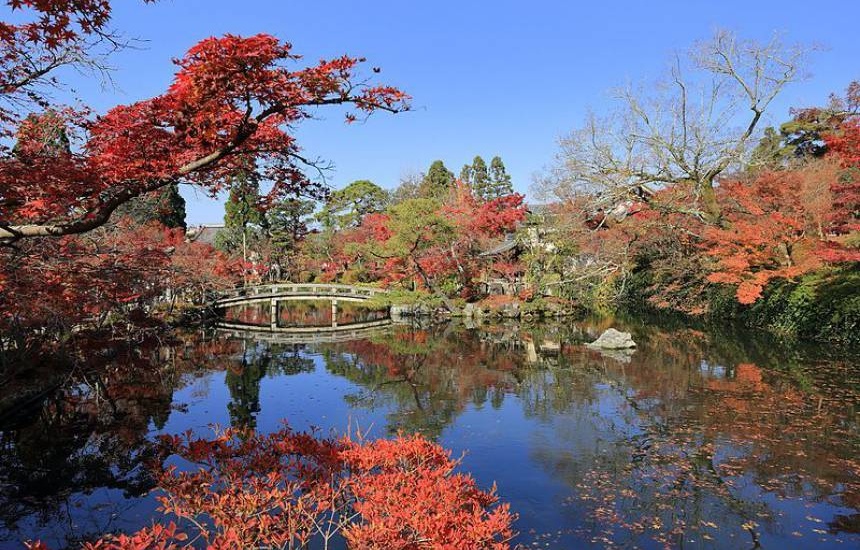 The Best Autumn Leaves Spot in Kyoto