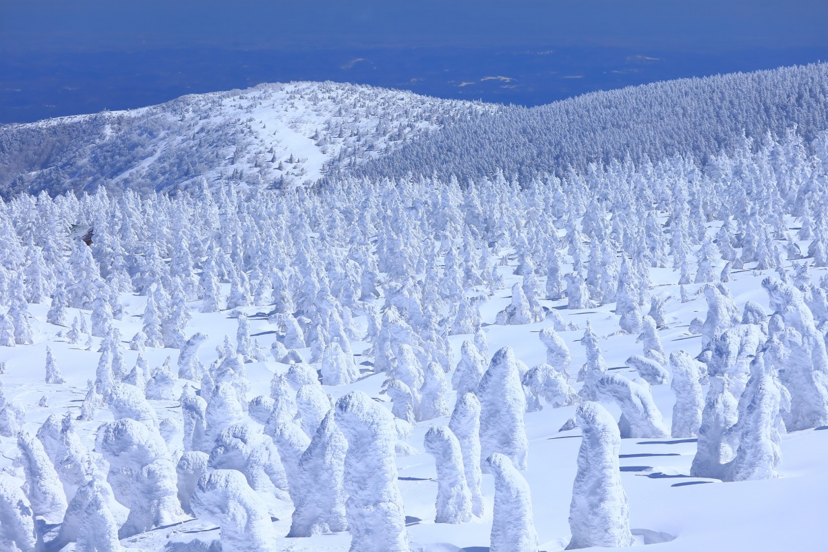 1. ภูเขาซาโอะ จ. ยามากาตะ (Mount Zao, Yamagata)