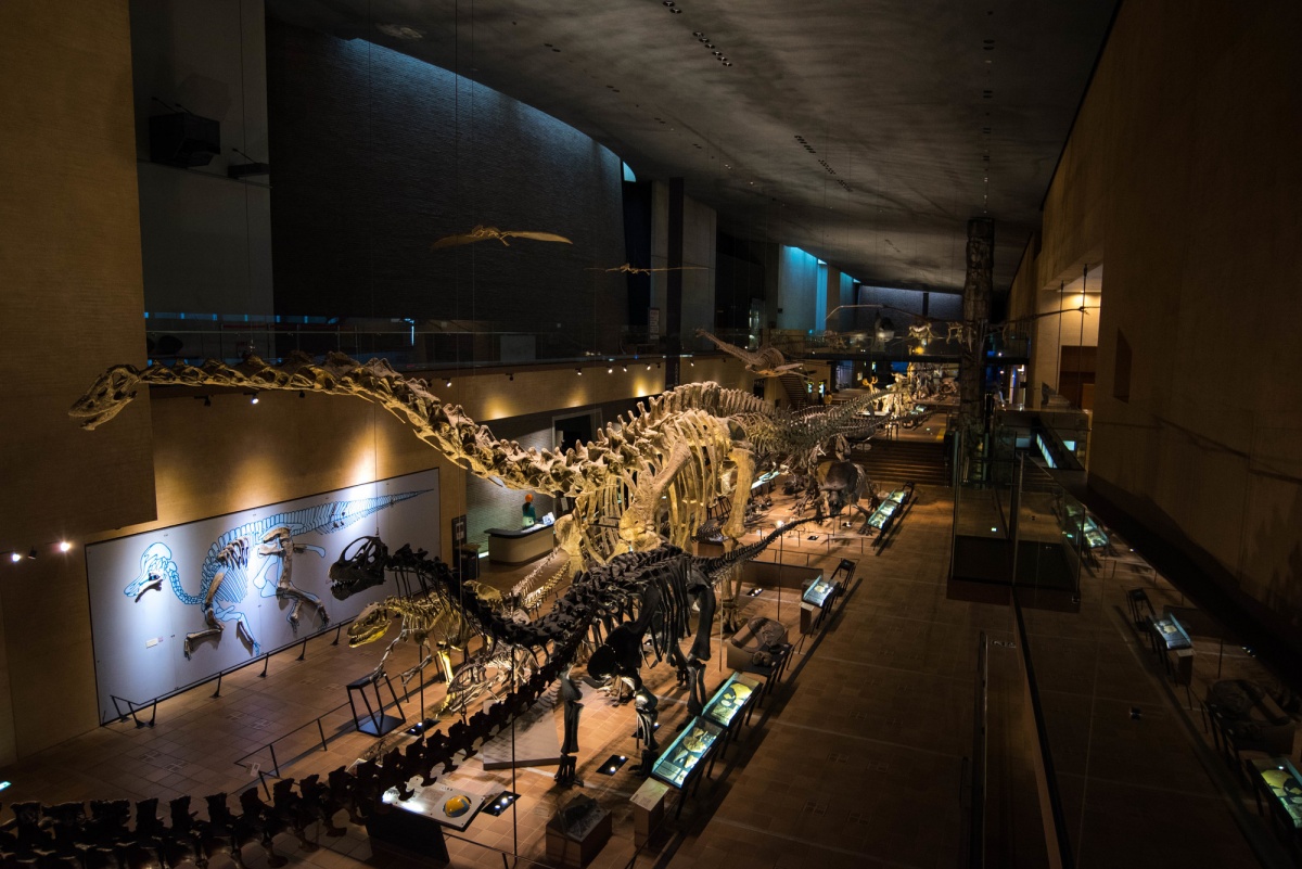 7. พิพิธภัณฑ์คิตะคิวชู (Kitakyushu Museum of Natural History and Human History)