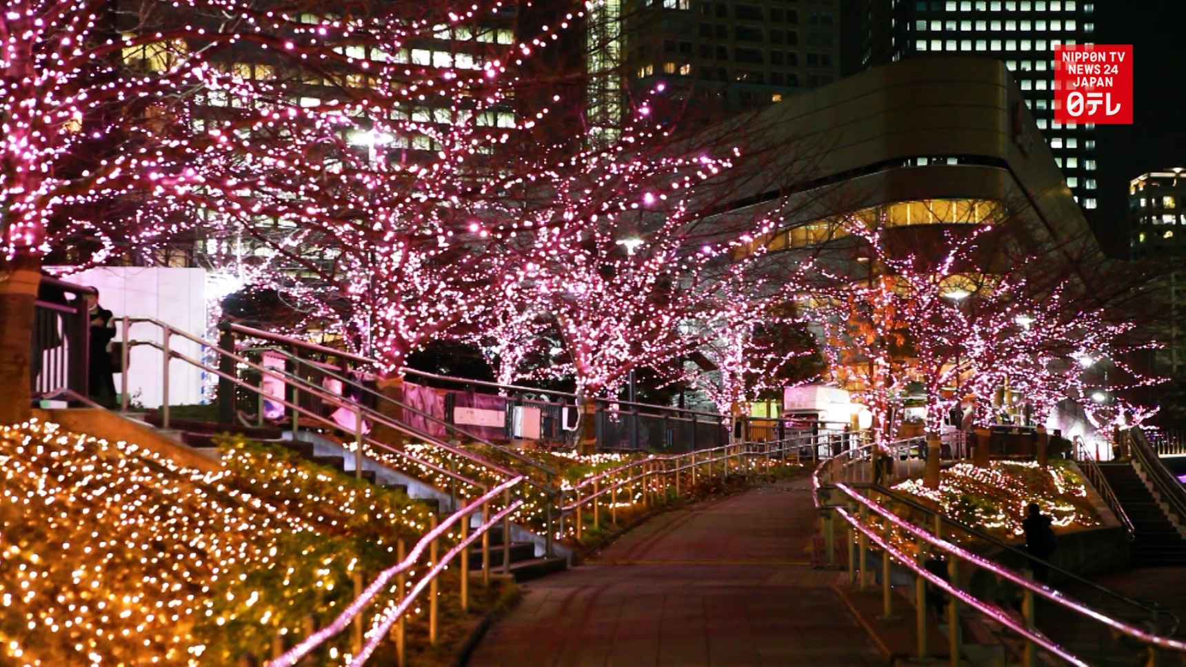 Waste Oil Helps Illuminate Tokyo in Winter