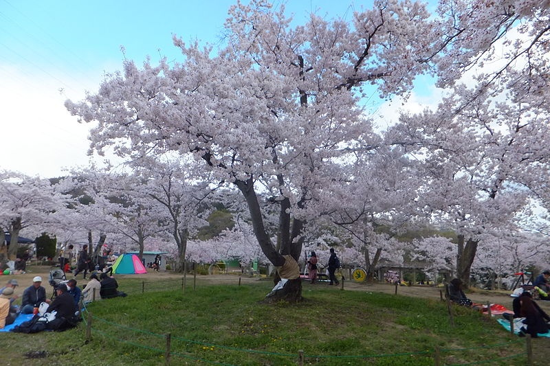 สวนเซ็ตสึเคียว (Settsukyo Park)