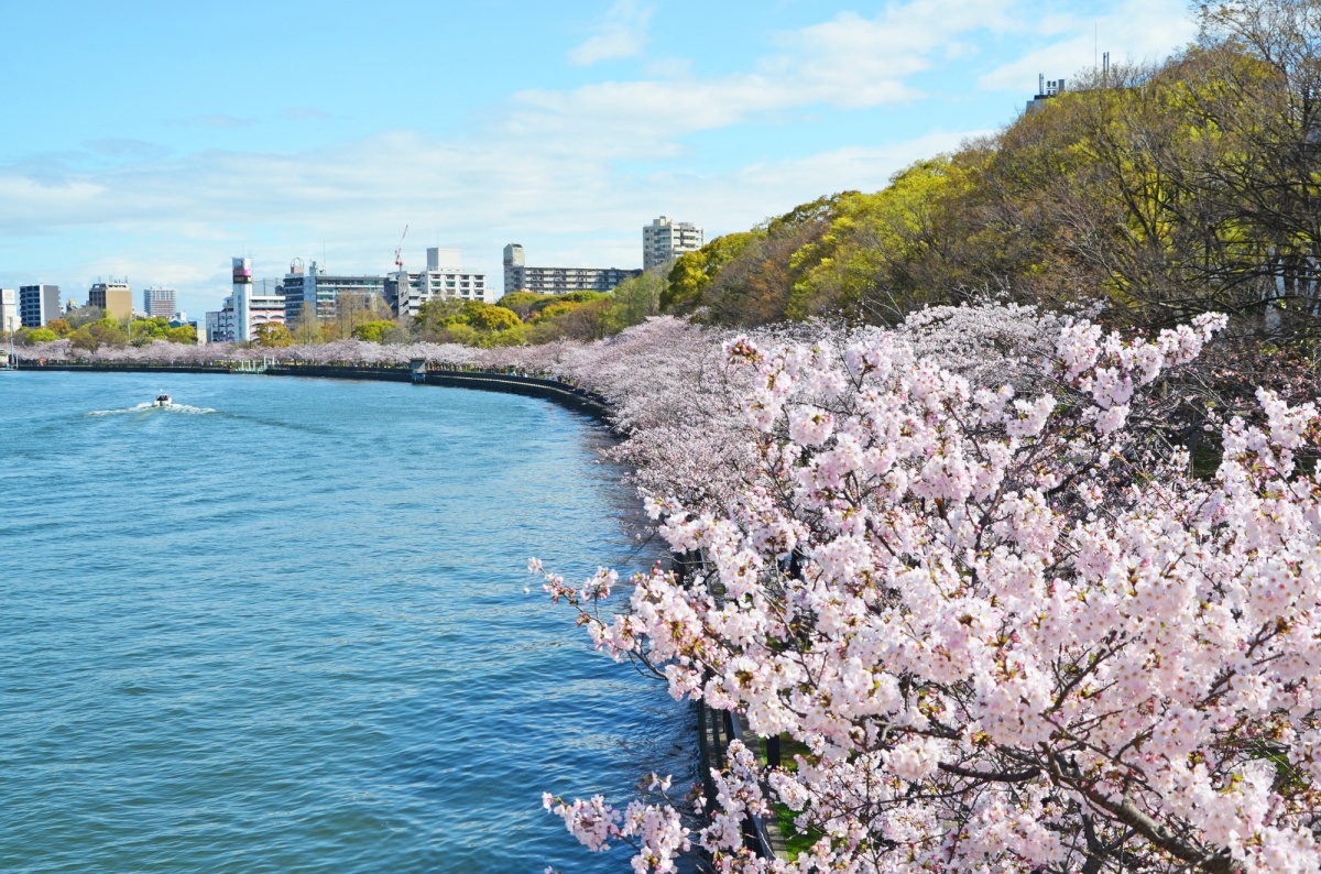 สวนเคมะ ซากุระโนมิยะ (Kema Sakuranomiya Park)