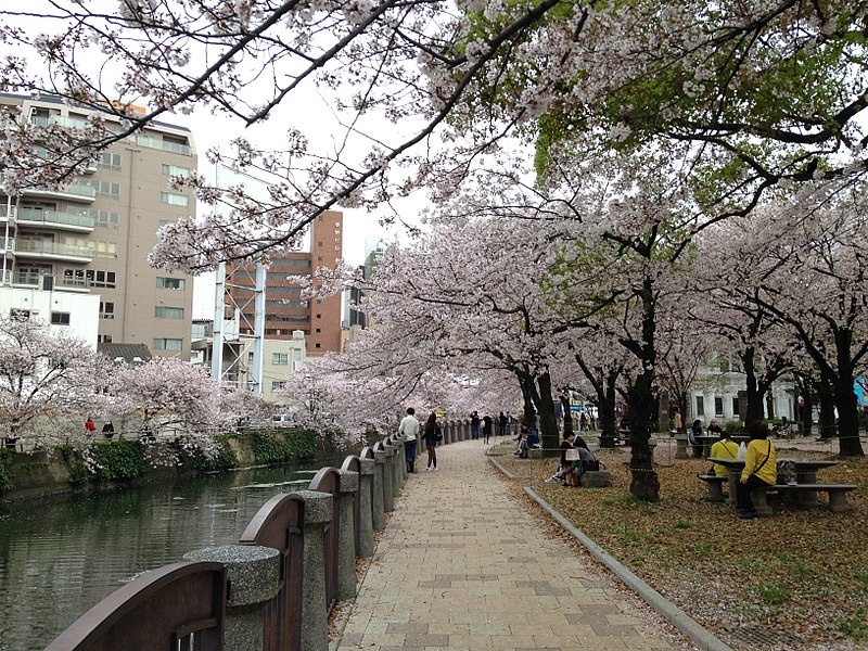 4 สวนเท็นจิน เซ็นทรัล ปาร์ค (Tenjin Central Park)