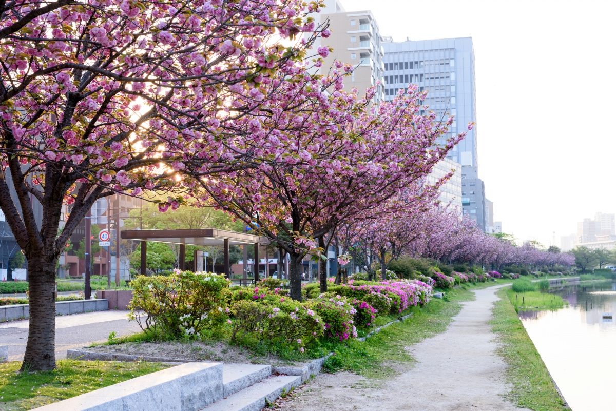 2 สวนโอโฮริ (Ohori Park)