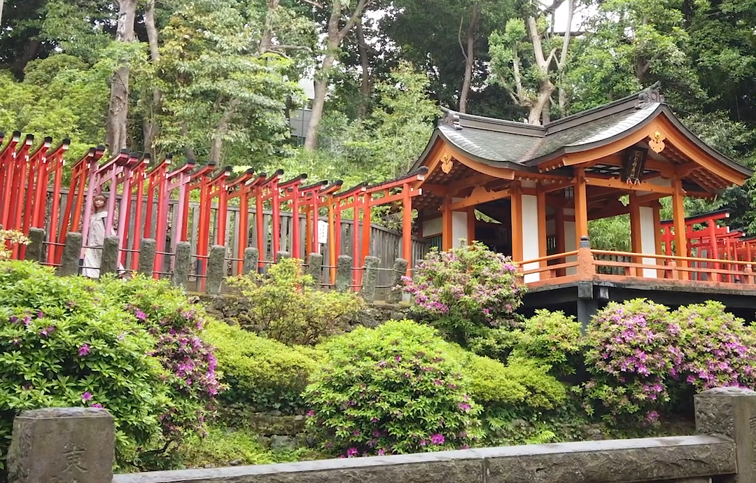 Nezu Shrine: 600 Years of Beauty & History