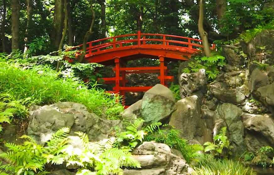 One of the Oldest Japanese Gardens in Tokyo