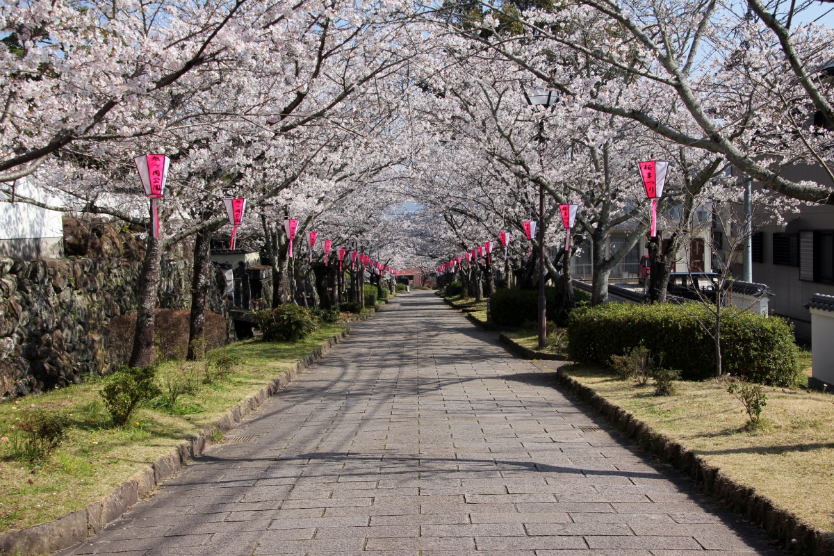 鹿島｜旭ヶ岡公園