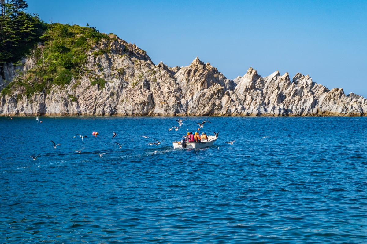 13 หาดโจโดงาฮามะ จังหวัดอิวาเตะ (Jodogahama, Iwate)