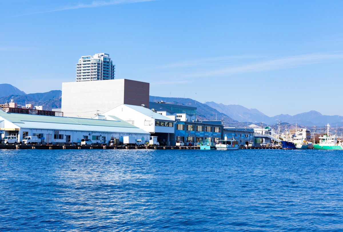 4.  ตลาดปลาชิมิซุ, ชูบุ (Shimizu Fish Market, Chubu)