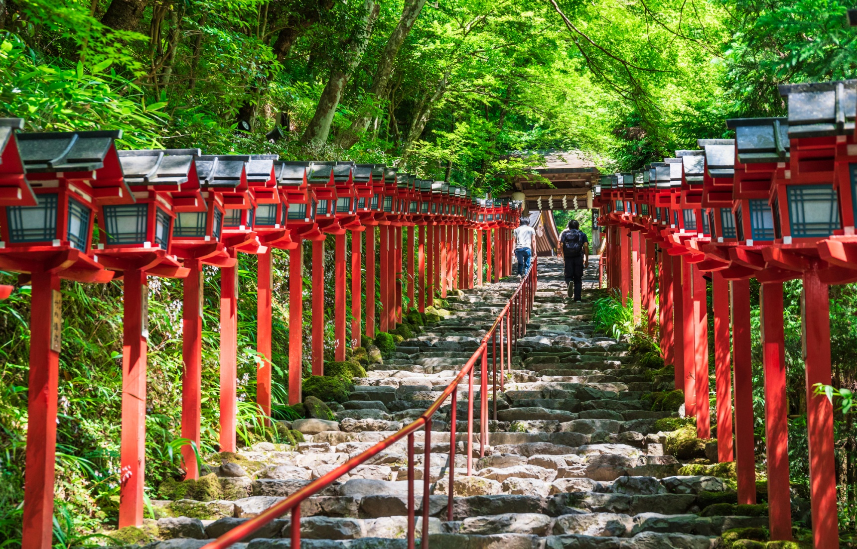 初夏就想鞍馬山跑！比日本千年古都京都還要老的深山隱社「貴船神社」