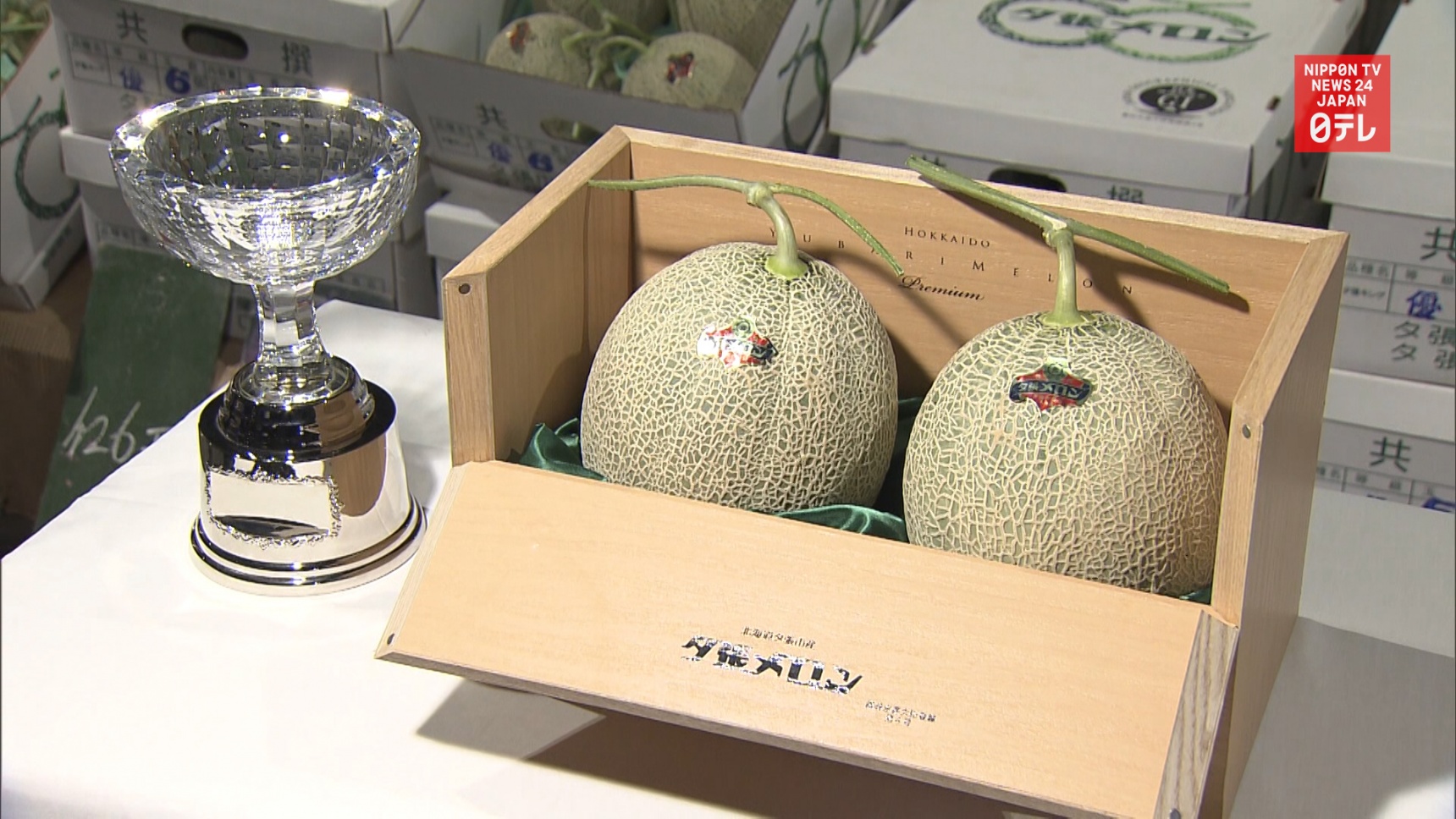 Yubari Melon Gets Fraction of Last Year Price