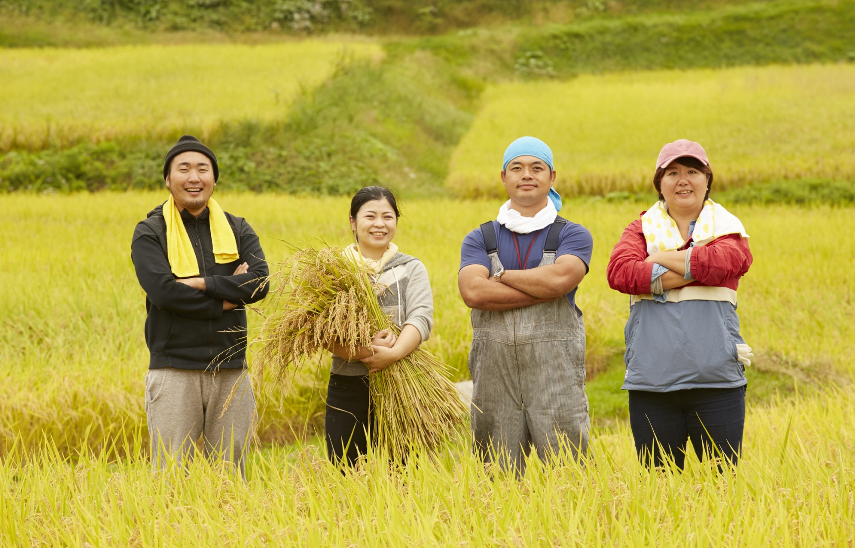 徹底解說！日本稻米的種類及購買指南